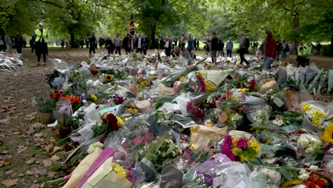 Flower-tributes-for-death-of-queen-Elizabeth-II-in-green-park