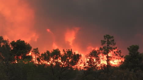 Bäume-Brennen-Flammen-Verheerende-Feuer-Fairview-Feuer-Naturzerstörung-Erderwärmung-Rauch