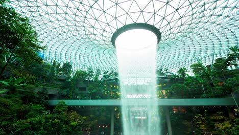 Singapur-Bäume-Und-Wasserfall-Im-Flughafen-Changi