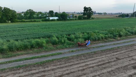 Young-Amish-Mennonite-children-ride-on-pony-cart-through-rural-farmland-in-Lancaster-County-Pennsylvania-USA
