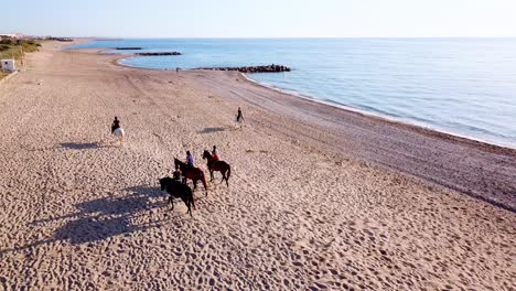 Group-of-Equestrian-riding-horses-along-golden-beach-at-sunset-time-in-France