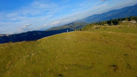 fpv-footage-was-filmed-in-the-Slovenian-mountain-village-in-the-alps-with-a-drone-flying-fast-over-mountains-filmed-with-a-GoPro-with-incredible-surrounding-landscapes-with-a-hiker-holding-a-flag