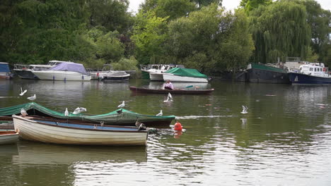 Man-in-rowboat-drifts-past-boats-on-River-Thames-at-Richmond,-London