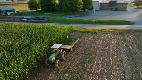 Corn-harvest-with-John-Deere-tractor-with-steel-wheels