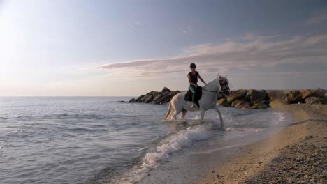 Slow-motion-of-Equestrian-with-white-majestic-horse-dabble-in-water-of-ocean-at-sunset---close-up