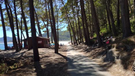 seagull-bird-flies-in-front-of-the-camera-in-the-wooded-area-with-trees-access-to-the-beach-with-people-resting,-sunny-day,-blocked-shot,-Cíes-Islands,-Pontevedra,-Galicia,-Spain