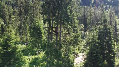 Wooden-platform-high-up-in-pine-tree-inside-voss-Zipline-and-climbing-park-owned-by-Voss-Active---Aerial-view-during-sunny-summer-vacation-day