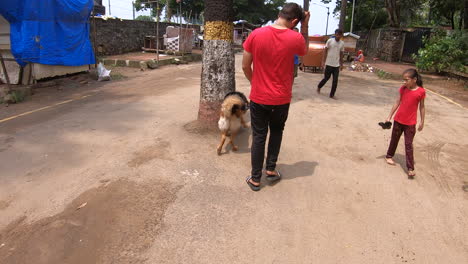 Mumbai,-Maharashtra,-India-September-1,-2022:-a-German-shepherd-dog-goes-to-the-beach-with-his-owner