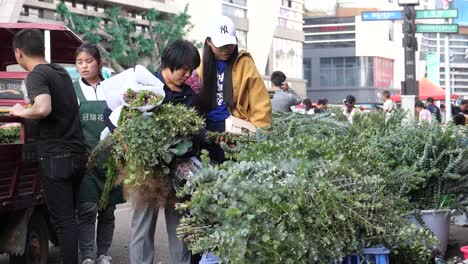Kunming,-Yunnan,-China---September-1,-2022:-shoppers-choose-flowers-to-buy-at-the-Kunming-Dounan-Flower-Market