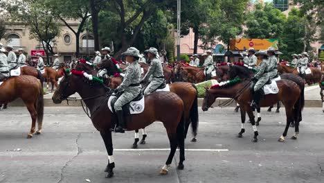 Schuss-Eines-Pferdes,-Das-Darauf-Wartet,-Während-Der-Militärparade-In-Mexiko-Stadt-Voranzukommen