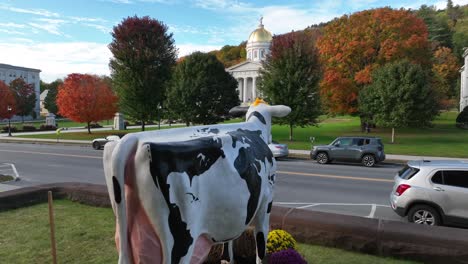 Rising-aerial-reveal-of-Vermont-State-Capitol-behind-holstein-cow-sculpture