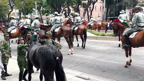 Paradeaufnahme-Eines-Pferdes,-Das-Während-Der-Militärparade-In-Mexiko-Stadt-Betäubt-Wird