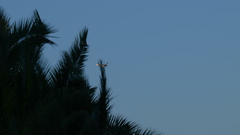 Tracking-shot-of-UPS-plane-ascending-disappears-behind-palm-tree-leaves