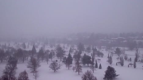 Aerial-view-of-an-open-forest-space-with-snow-actively-falling