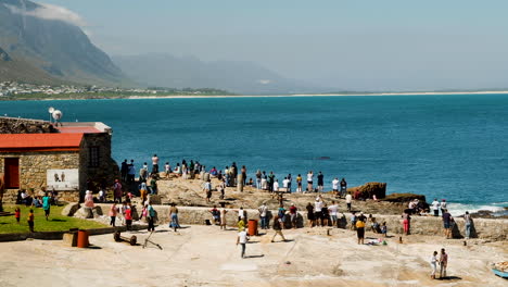 People-on-rocks-of-Hermanus-Old-Harbour-doing-whale-watching