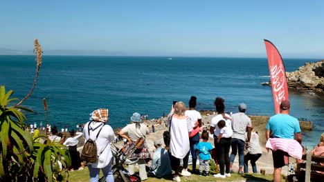 Tourists-on-cliffs-whale-watching-with-whale-boat-in-background,-Hermanus
