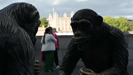 Los-Chimpancés-En-Londres,-Los-Chimpancés-Son-Familia,-El-Paseo-De-Las-Reinas,-Reino-Unido