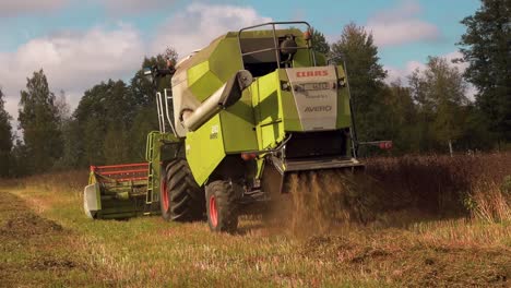 A-combine-harvester-harvests-buckwheat-from-a-meadow