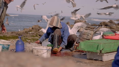 Fishermen-sort-fishes,-carry-buckets,-in-port-city-of-Essaouira,-north-of-Morocco,-while-seagulls-swarm-around-them