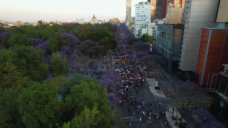 Luftbild-Mit-Blick-Auf-Marschierende-Frauen,-Die-Gegen-Die-Zunahme-Von-Hassverbrechen-Gegen-Frauen-In-Mexiko-Stadt-Protestieren