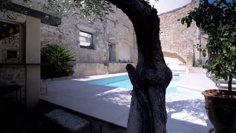 Private-swimming-pool-beyond-olive-trees-on-property-in-Uchaud
