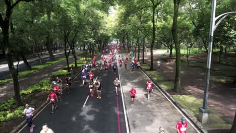 fixed-drone-shot-of-the-runners-of-the-mexico-city-marathon-carrying-the-mexican-flag