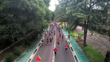 fixed-drone-shot-of-the-runners-of-the-mexico-city-marathon-as-they-run-along-paseo-de-la-reforma-avenue-at-their-own-pace