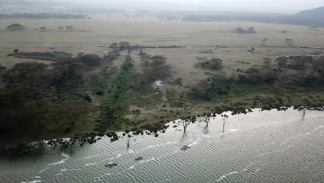 Orbitale-Drohnenansicht-Von-Drei-Booten,-Die-Am-Ufer-Des-Lake-Naivasha,-Kenia,-Afrika-Entlang-Segeln