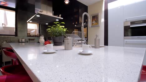 Modern-kitchen-countertop-island-designed-with-beautiful-natural-light