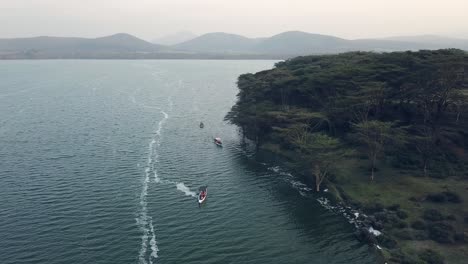 Drone-view-of-three-boats-sailing-near-the-shore-of-Lake-Naivasha,-Kenya,-Africa