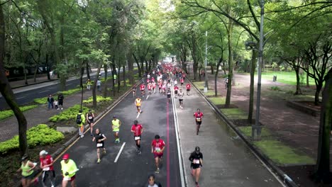 frontal-drone-shot-of-the-runners-of-the-mexico-city-marathon-carrying-the-flag-of-mexico