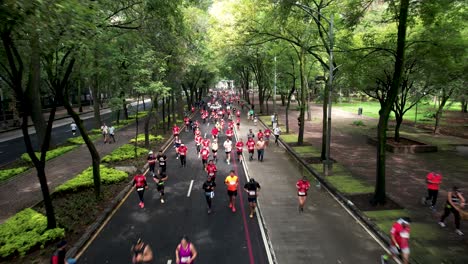 frontal-drone-shot-of-the-runners-of-the-marathon-of-the-city-of-mexico-while-they-run-the-avenue-paseo-de-la-reforma