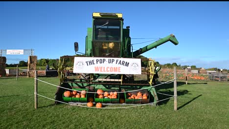 Let's-get-some-Pumpkins-within-the-Pop-Up-Farm