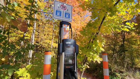 Eine-Ladestation-Für-Elektrofahrzeuge-In-Einem-Park-In-Herbstfarben