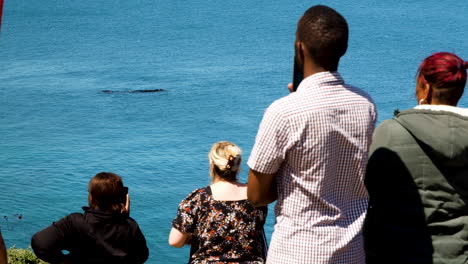 Tourists-in-Hermanus-whale-watching-from-cliffs-during-whale-season