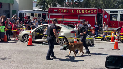 Public-Professional-Demonstration-for-a-crowd-of-people-of-a-policeman-and-police-attack-dog-in-Front-of-Temple-Terrace-Fire-Station-Florida