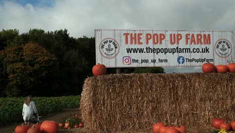 Website-of-the-POP-UP-Farm