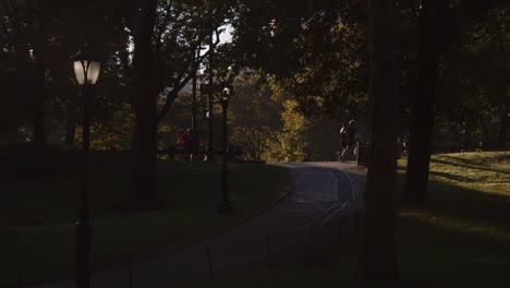 Menschen,-Die-Am-Sonnigen-Morgen-Im-Central-Park-New-York-City-Auf-Dem-Wanderweg-Joggen,-Radeln,-Harte-Schatten-Von-Bäumen,-Gras-Und-Vegetation-Ringsum,-Outdoor-Übungen-In-Natürlicher-Umgebung