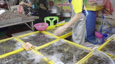 Eine-Nahaufnahme-Der-Transaktion-Zwischen-Einem-Kunden-Und-Einem-Fischhändler-Für-Den-Kauf-Von-Riesigen-Flussgarnelen-Auf-Einem-Thailändischen-Fischmarkt