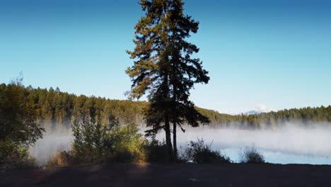 Lago-Con-Neblina-Se-Acercó-Desde-La-Orilla-Dolly-Enid-Columbia-Británica-Canadá