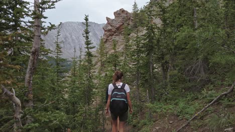 Hikers-on-trail-in-Mountain-followed-Kananaskis-Alberta-Canada