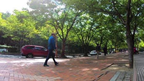 Young-man-running-in-Duryu-park-while-retired-people-walk-in-the-background,-Daegu,-South-Korea