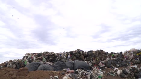 Gulls-overfly-a-landfill-where-non-recyclable-waste-has-been-dumped
