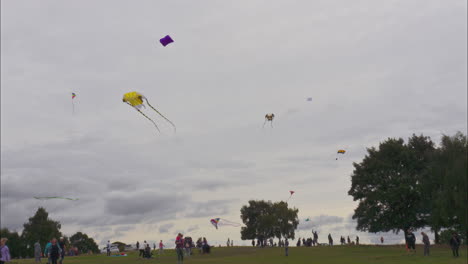 Families-fly-kites-at-kite-festival-Heath-Common-in-Wakefield-UK