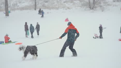 Man-being-pulled-by-a-large-fluffy-dog-in-a-snow-storm