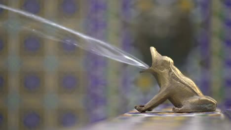 Close-up,-profile-view-of-a-decorative-bronze-frog-on-a-Spanish-style-water-fountain