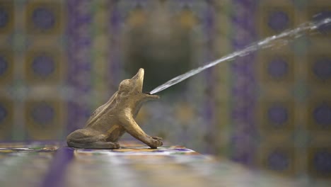 Close-up,-slow-motion-view-of-a-decorative-bronze-frog-on-a-Spanish-style-water-fountain
