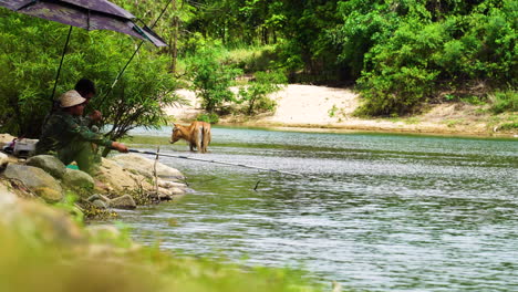 Vietnamese-Rag-Lai-men-fishing-in-river,-friendly-cow-taking-bath-in-background