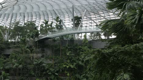 view-of-indoor-bridge-over-indoor-tropical-rainforest-in-Jewel-Changi-Mall-in-early-morning