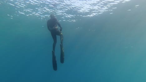 Male-spearfishing-while-freediver-resurfaces-slow-motion-shot